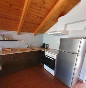 La cuisine est équipée d'un réfrigérateur en acier inoxydable et d'un évier. dans l'établissement LittleLoft Ioannina, à Ioannina