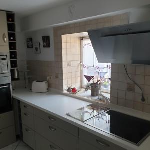 eine Küche mit einer Spüle und einer Arbeitsplatte in der Unterkunft Ehemaliger Bauernhof in Gunzenhausen