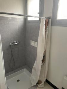 a shower with a shower curtain in a bathroom at Appartement proche du canal du midi in Colombiers