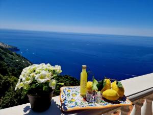 Paesaggio naturale nelle vicinanze della casa vacanze