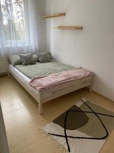 een slaapkamer met een bed in een kamer met een raam bij Apartament w centrum Suwałk in Suwałki