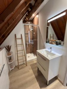a bathroom with a sink and a shower at Au relais des diligences in Mézières-en-Vexin +48 photos