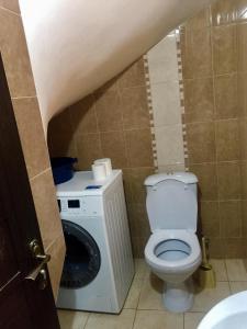 a bathroom with a toilet and a washing machine at Mountain View Guesthouse in Dilijan