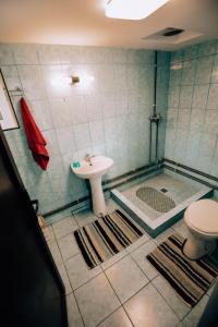 y baño con ducha, lavabo y aseo. en Casa Mocian, en Cluj-Napoca