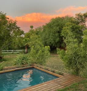a swimming pool in a yard with trees at Karoo Feels in Prince Albert
