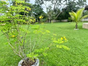 Gallery image of Sítio Em Guapimirim in Guapimirim