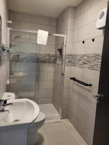 ein Badezimmer mit Dusche, Toilette und Waschbecken in der Unterkunft 360 Town Stay Apartments & Studios in Dungarvan