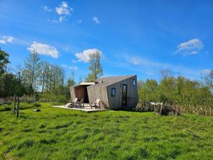 a small shed in a grassy field at Tiny house De Wylp in Westergeest