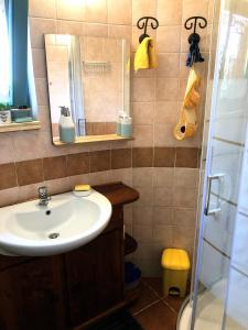 bagno con lavandino, specchio e doccia di Country Rooms ad Alghero