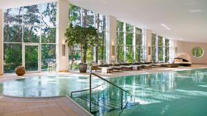- une grande piscine dans un bâtiment doté de fenêtres dans l'établissement Ferienwohnungen Fischland, à Dierhagen