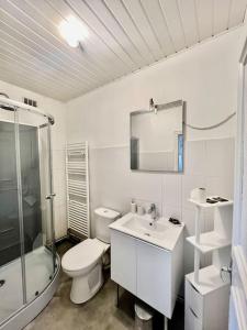 uma casa de banho com um WC, um lavatório e um chuveiro em Charmant T3 proche de la gare em Clermont-Ferrand