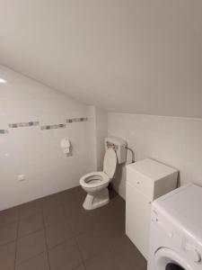 Koupelna v ubytování Apartments Toni