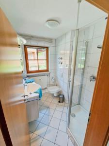 a bathroom with a shower and a sink and a toilet at Sonnenwinkl in Reit im Winkl