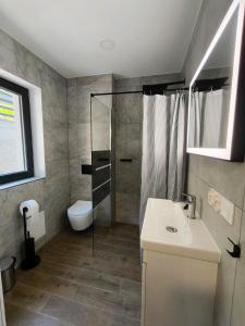 a bathroom with a sink and a shower and a toilet at Apartament Izerski DOMEK z tarasem Premium in Świeradów-Zdrój +15 photos