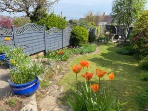 um jardim com flores de laranja e uma cerca branca em Beautiful family home in Mumbles, with garden em The Mumbles