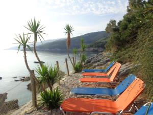 Ảnh trong thư viện ảnh của Faros ở Milopotamos +39 ảnh