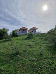 Příroda nedaleko prázdninového domu + 30 fotografií