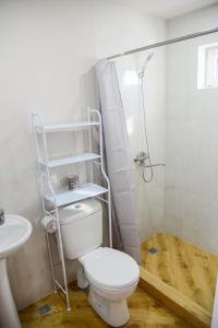a bathroom with a toilet and a shower at Arkhilo's cottage in Dedoplis Tskaro