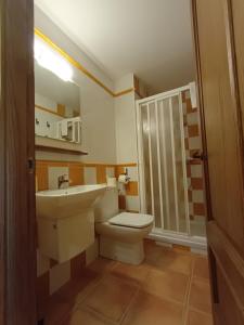 W łazience znajduje się toaleta, umywalka i prysznic. w obiekcie Cal Emilia w mieście Ossó de Sió