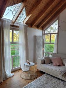 ein Wohnzimmer mit einem Sofa und einigen Fenstern in der Unterkunft lichtdurchflutetes Architektenhaus in Balingen