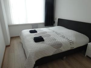 1 dormitorio con 1 cama con edredón de béisbol en Appartement AanZee en Hoek van Holland