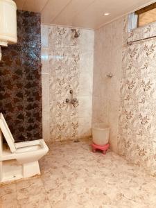 een badkamer met een toilet en een douche. bij Shewata Cottage in Kasol