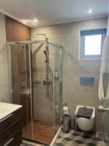 a bathroom with a toilet and a glass shower at Ayit Hotel in Theologos