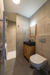 łazienka z toaletą i umywalką w obiekcie Appartement neuf et spacieux au cœur du village avec sauna w mieście Saint-Sorlin-dʼArves +18 zdjęć