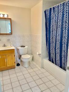 uma casa de banho com um WC e uma cortina de chuveiro em 125-2 Bedroom Spacious Apartment in Hoboken em Hoboken