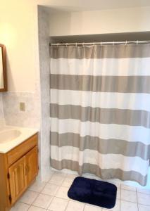 Un baño con cortina de ducha y lavabo. en 118-1 GB Internet Great Summer 2 Bed 2 Bath Stay, en Hoboken