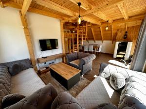 ein Wohnzimmer mit Sofas und einem Flachbild-TV in der Unterkunft AJLA in Vlasic