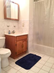een badkamer met een toilet, een wastafel en een douche bij 112-2Bed 2Bath w beautiful living room and balcony in Hoboken