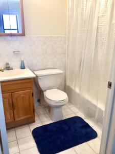 een badkamer met een toilet, een wastafel en een douche bij 112-2Bed 2Bath w beautiful living room and balcony in Hoboken