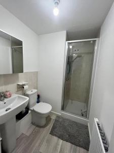 een badkamer met een douche, een toilet en een wastafel bij Two bedroom apartment in Barry-close to beach in Barry