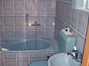 Ένα μπάνιο στο Apartment Mirjana +6 φωτογραφίες