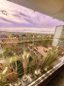 a balcony with a view of a garden with benches at 120m² Atomium,Brussels Expo,StadeRoiBaudoin,Cinéma in Brussels