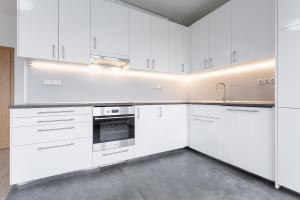 Kuchyň nebo kuchyňský kout v ubytování 96m2 Designer Apartment, FREE Garage Parking