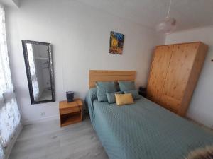 Posteľ alebo postele v izbe v ubytovaní Appartement à 100m de la plage avec parking et petits animaux admis - FR-1-324A-38