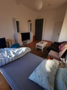 sala de estar con sofá y TV en Gemütliches Großes Zimmer Uni nah mit Balkon en Karlsruhe