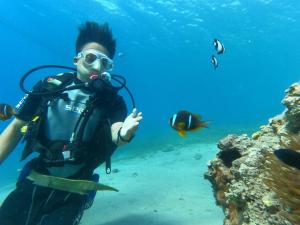 een man in duikuitrusting zwemmend in de oceaan met vis bij Extra Experiment in Aqaba