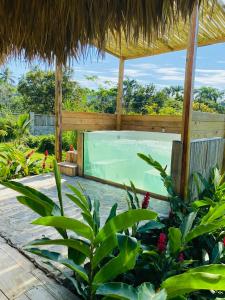 莎曼納聖塔芭芭拉的住宿－Palmeras del Valle，一个带游泳池和一些植物的度假胜地
