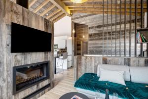 een woonkamer met een open haard en een flatscreen-tv bij Chalet nid des écureuils in Font Romeu Odeillo Via