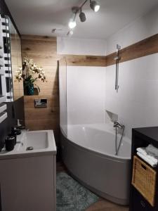 博尔加内斯Charming apartment的带浴缸和水槽的浴室