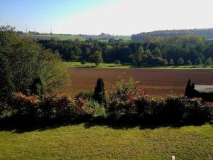 ein Feld mit Bäumen und ein großes Feld mit einem Feld sidx sidx in der Unterkunft Peppi´s Waldblick 