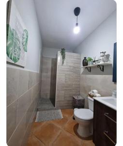 La salle de bains est pourvue d'une douche, de toilettes et d'un lavabo. dans l'établissement Home Favorito, à Tarajalejo