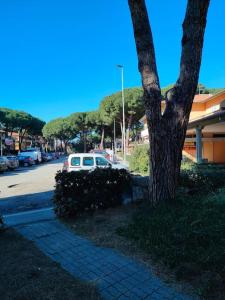 un árbol en una acera al lado de una calle en Apartment for holiday rent in Marina di Cecina, en Cecina