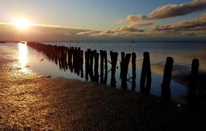 En strand i nærheden af lejligheden