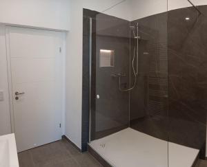 baño con ducha y puerta de cristal en Ferienwohnung Zimmermann, en Bad Schandau