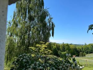 eine weinende Weide und Blumen in einem Garten in der Unterkunft Haus-Eckberg 101 in Gamlitz