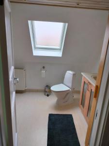 un bagno con wc e finestra di Nygaard Guesthouse a Hjørring Altre 32 foto